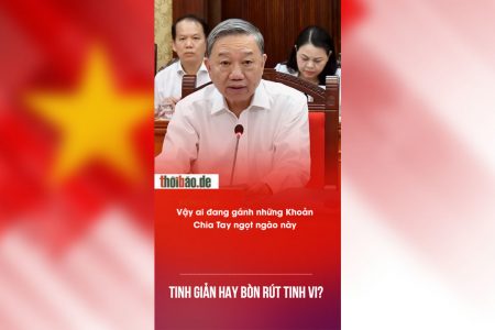 Tinh giản hay bòn rút tinh vi?