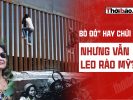 TẠI SAO “BÒ ĐỎ” HAY CHỬI MỸ NHƯNG VẪN LEO RÀO MỸ?