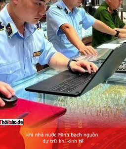 Thanh tra vàng, nhưng quên thanh tra điện?