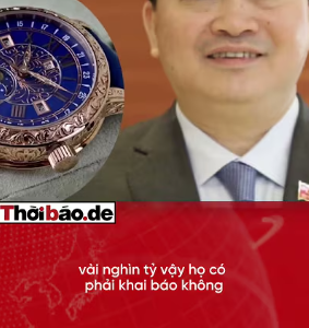 KHAI BÁO KIỂU GÌ?