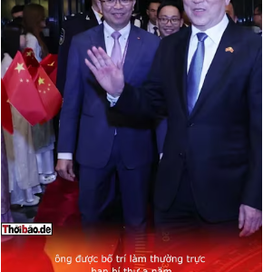 ẨN SỐ LƯƠNG CƯỜNG: “QUÂN BÀI DỰ PHÒNG” CỦA NGUYỄN PHÚ TRỌNG?