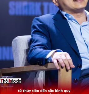 NGÂN 98 VÀ CHIẾC BẪY QUYỀN LỰC: AI MỚI THẬT SỰ PHẠM TỘI?