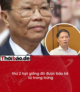 CON ÔNG CHÁU CHA – CƠ CHẾ VẬN HÀNH CỦA QUYỀN LỰC KHÉP KÍN