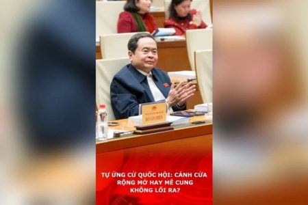 Selbstkandidatur für die Nationalversammlung: weit geöffnete Tür oder Labyrinth ohne Ausgang?