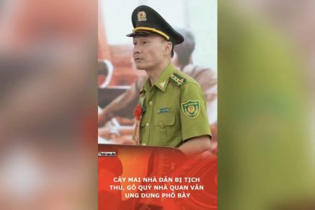 Cây mai nhà dân bị tịch thu, gỗ quý nhà quan vẫn ung dung phô bày.