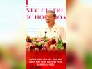 Dự án giải tỏa đẩy dân vào cảnh mất nhà: Sự thật phía sau khẩu hiệu