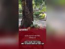 Gen Z đang trở thành một cơ quan giám sát độc lập
