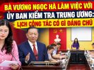 Bà Vương Ngọc Hà làm việc với Ủy ban Kiểm tra Trung ương: Lịch công tác có gì đáng chú ý?